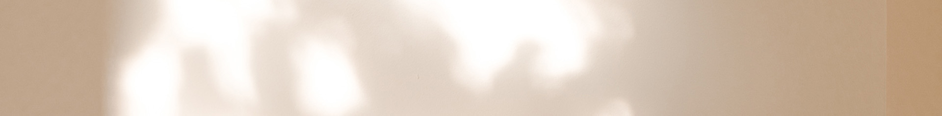 Sculptures de 350€ à 950€