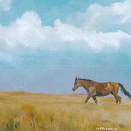 Castignani Sergi | Artiste Contemporain : Oeuvres & Biographie