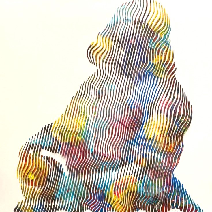 Schroeder Virginie | Artiste Contemporain : Oeuvres & Biographie