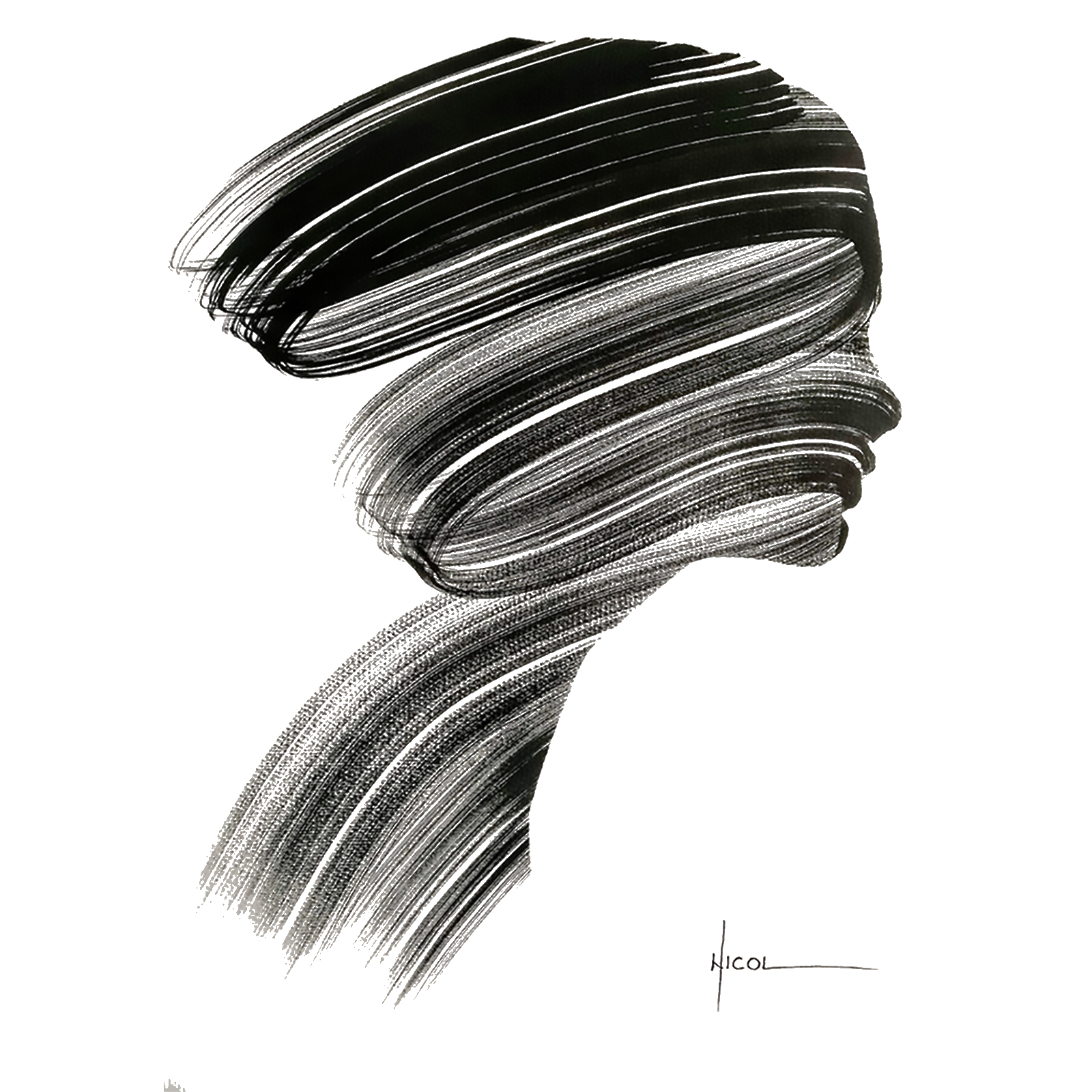 Nicol | Artiste Contemporain : Oeuvres & Biographie