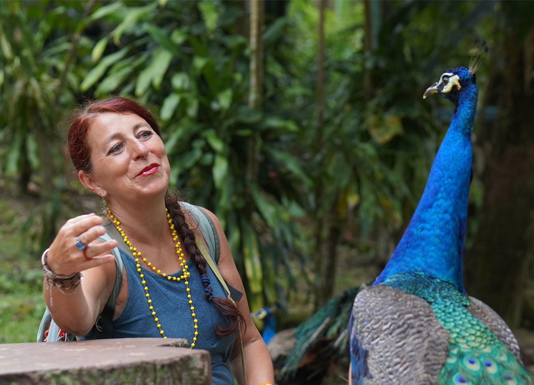 Rebeyre Catherine | Artiste Contemporain : Oeuvres & Biographie