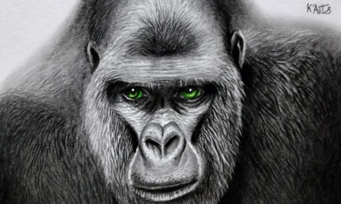 K'Arts | Artiste Contemporain : Oeuvres & Biographie