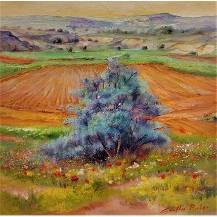 Painting Flor del espino by Cabello Ruiz Jose | Painting Figurative Oil Landscapes