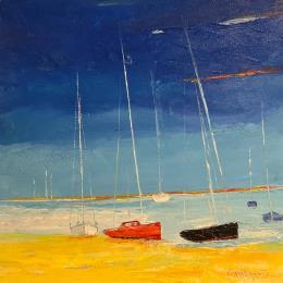 Pintura Les fiers d'Aras por Menant Alain | Pintura Figurative Acrylic Marine