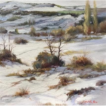 Peinture Navacerrada par Cabello Ruiz Jose | Tableau Figuratif Huile Paysages