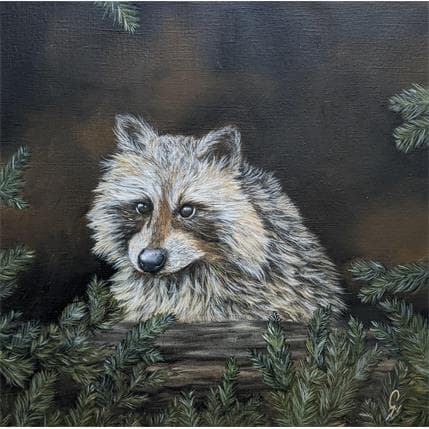 Peinture Raton laveur par Pressac Clémence | Tableau Figuratif Huile Animaux