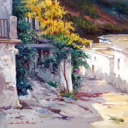 Peinture Rincon de las Alpujarras par Cabello Ruiz Jose | Tableau Figuratif Huile Paysages