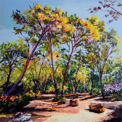 Peinture Bibémus Aix par Chen Xi | Tableau Figuratif Huile Paysages