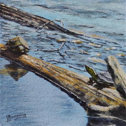 Peinture EAUX DORMANTES  par Bougouin Laurent | Tableau Figuratif Acrylique Animaux, Marine