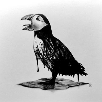 Peinture Macareux par K'Arts | Tableau Figuratif Fusain Animaux, Noir & blanc, Scènes de vie
