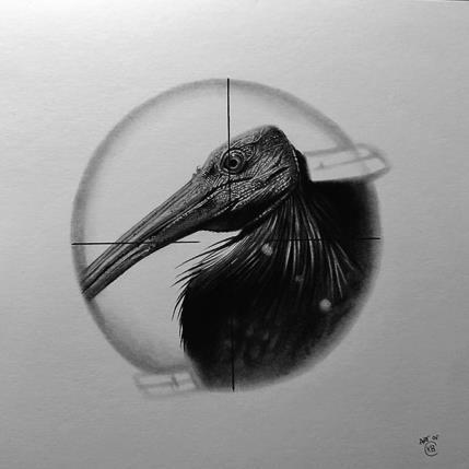 Peinture Ibis chauve par K'Arts | Tableau Figuratif Fusain Animaux, Noir & blanc, Scènes de vie
