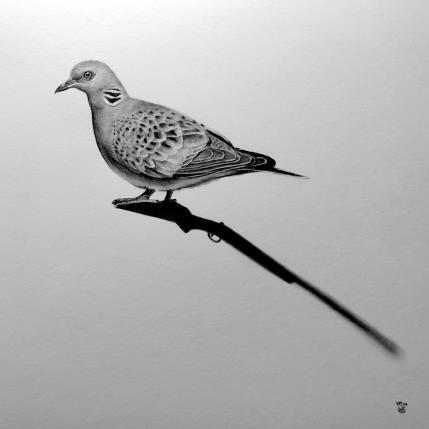 Peinture Tourterelle des bois par K'Arts | Tableau Figuratif Fusain Animaux, Noir & blanc, Scènes de vie