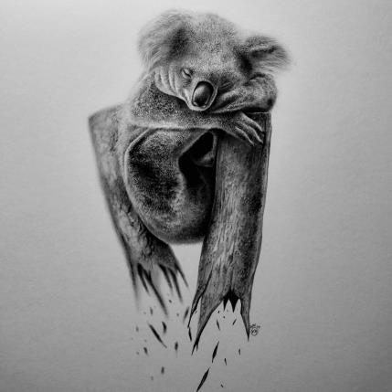 Peinture Koala par K'Arts | Tableau Figuratif Fusain Animaux, Noir & blanc, Scènes de vie