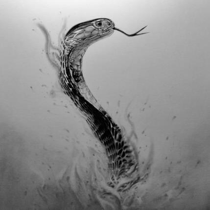 Peinture Cobra par K'Arts | Tableau Figuratif Fusain Animaux, Noir & blanc, Scènes de vie
