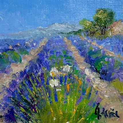 Peinture Lavande 2 par Sannier Daniel | Tableau Figuratif Huile