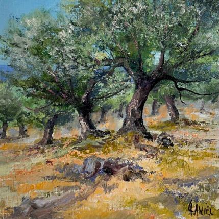 Peinture Olivier en Grèce Paros par Sannier Daniel | Tableau Figuratif Huile