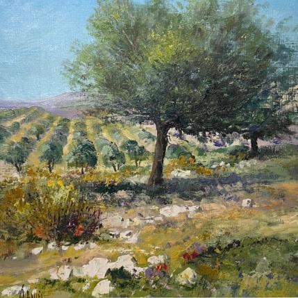 Peinture L'Olivier par Sannier Daniel | Tableau Figuratif Huile