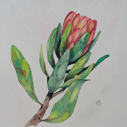 Peinture King protea par Kuprina Carle Maria | Tableau Figuratif Aquarelle Nature