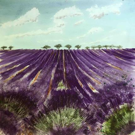 Peinture Cultures de lavandes par Hoffmann Elisabeth | Tableau Figuratif Aquarelle Paysages