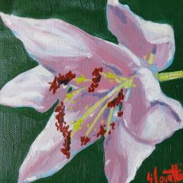 Painting Lys by Coueffic Sébastien | Painting Figurative Oil