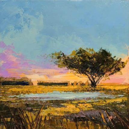 Peinture La laguna par Max Pedreira | Tableau Impressionnisme Acrylique Paysages