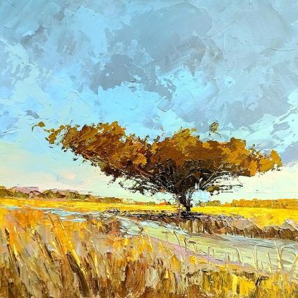 Peinture Un momento de paz par Max Pedreira | Tableau Impressionnisme Acrylique Paysages