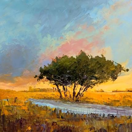 Peinture Un descanso par Max Pedreira | Tableau Impressionnisme Acrylique Paysages