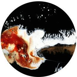 Painting C2816 by Naen | Painting Abstract Acrylic, Ink