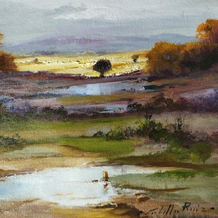 Peinture Atardecer I par Cabello Ruiz Jose | Tableau Impressionnisme Huile Paysages
