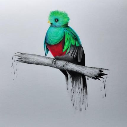 Painting Quetzal resplendissant by K'Arts | Painting Figurative Charcoal Animals, Nature, Society