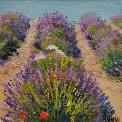 Peinture Les lavandes par Sannier Daniel | Tableau Impressionnisme Huile Paysages