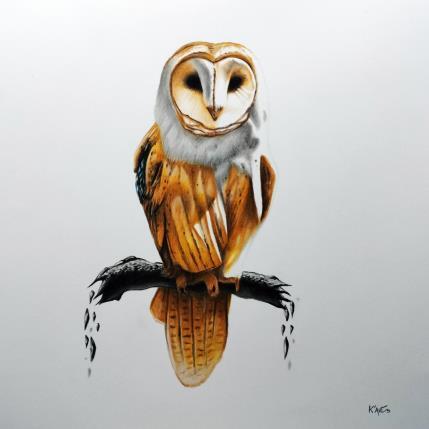 Peinture Chouette effraie par K'Arts | Tableau Figuratif Fusain Animaux, Scènes de vie, Société
