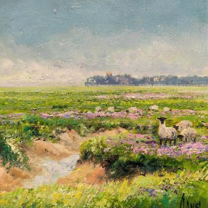 Peinture Moutons en baie de somme par Sannier Daniel | Tableau Impressionnisme Huile Paysages