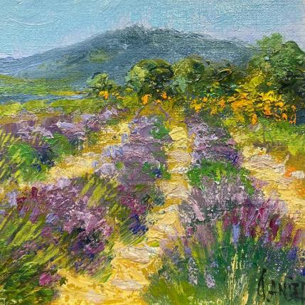 Peinture Plateau de Valensole par Sannier Daniel | Tableau Impressionnisme Huile Paysages