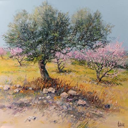 Peinture Oliviers et pêchers en fleurs par Sannier Daniel | Tableau Impressionnisme Huile Paysages