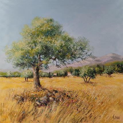 Peinture Les oliviers en automne à Dieulefit par Sannier Daniel | Tableau Impressionnisme Huile Paysages