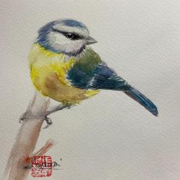 Painting Blue Tit Bird by Yu Huan Huan | Painting Figurative Ink, Watercolor Animals