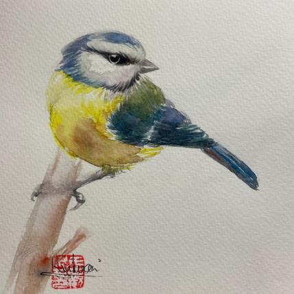Painting Blue Tit Bird by Yu Huan Huan | Painting Figurative Ink, Watercolor Animals