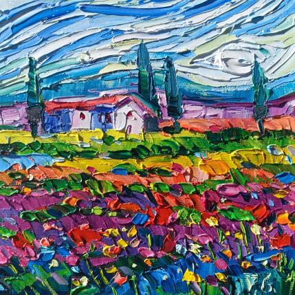Peinture Summer fields in Provence  par Georgieva Vanya | Tableau Figuratif Huile Paysages