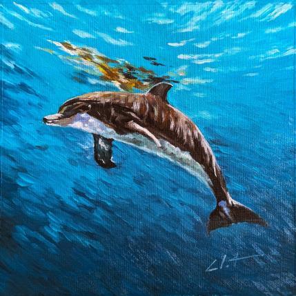 Peinture Delphine  par CLOT | Tableau Figuratif Huile Animaux