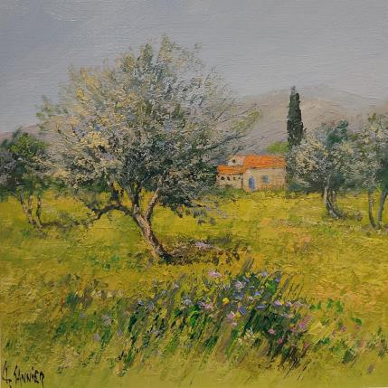Painting Oliviers au Printemps  by Sannier Daniel | Painting Impressionism Oil Landscapes