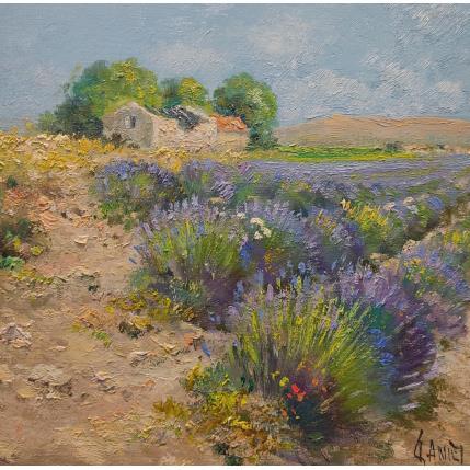 Painting Le vieux cabanon by Sannier Daniel | Painting Impressionism Oil Landscapes