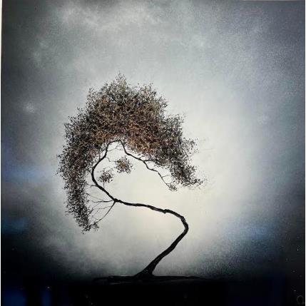 Peinture Terra Obscura par Rey Julien | Tableau Figuratif Feuille d'or